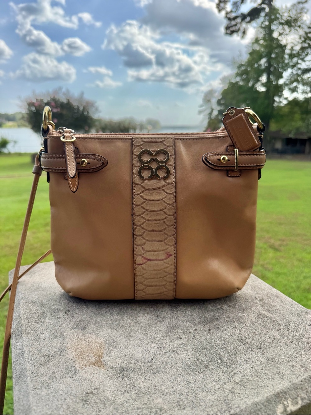 Coach Collette Crossbody with Snake-Texture Center Panel